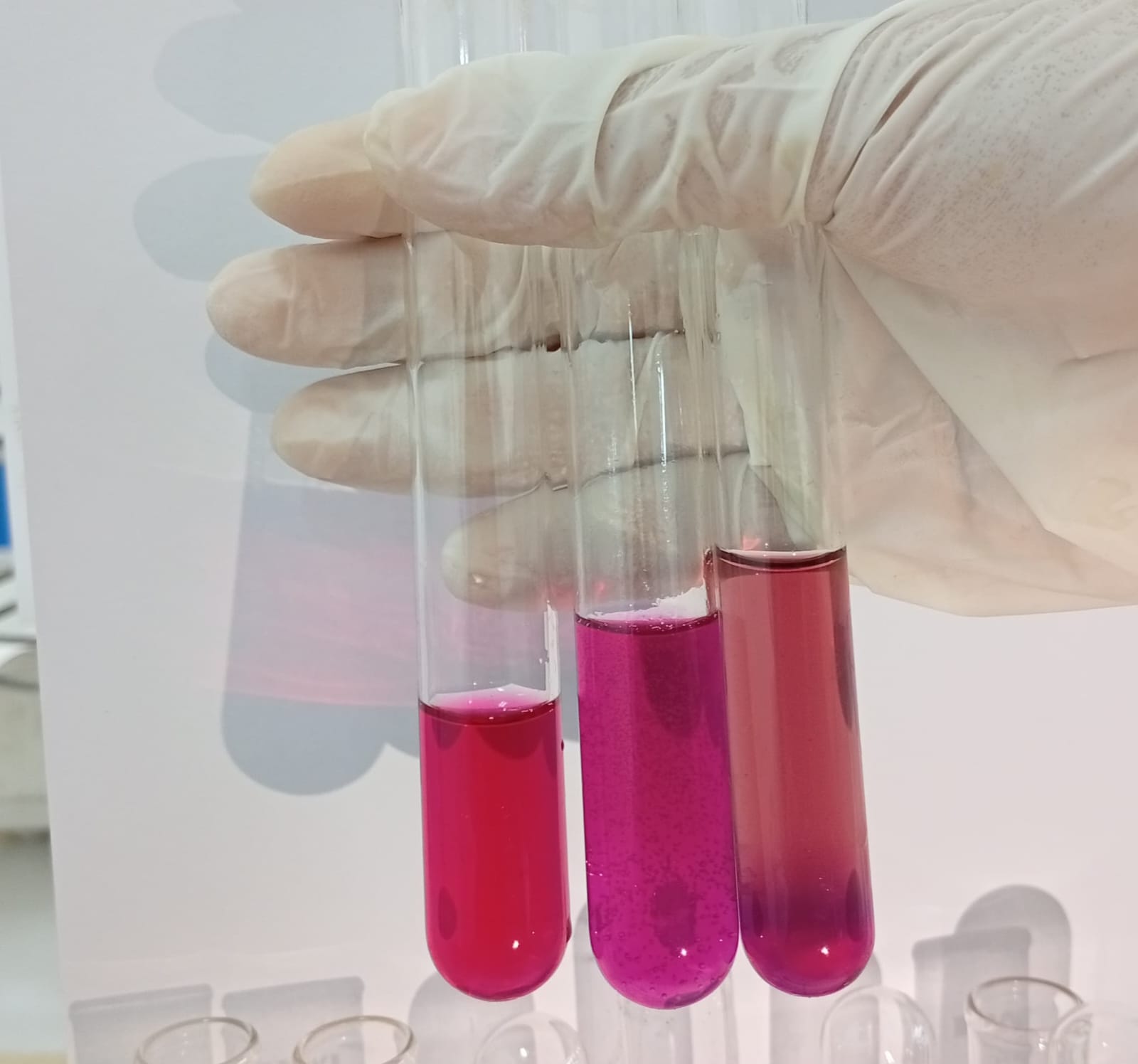 Teliti Edible Film Berbasis Gelatin dan Agar, Mahasiswa Poltek Nuklir Raih Juara Satu dalam Essay Competition ASIA 2025